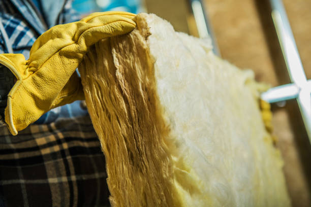 Trusted Bryson City, NC Insulation Contractor Experts
